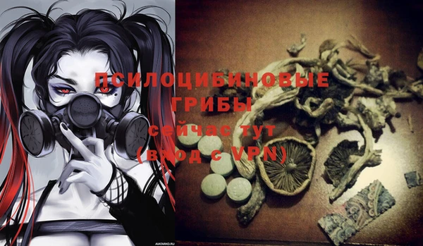 mdma Ельня