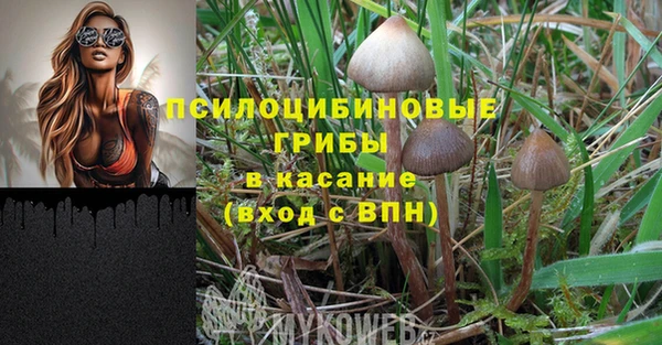 каннабис Елизово