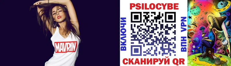 Купить где  Малая Вишера  Галлюциногенные грибы прущие грибы 